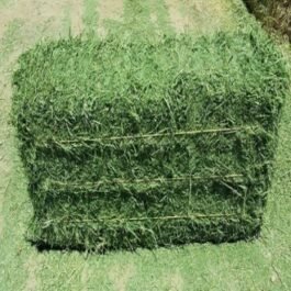 Alfalfa Hay