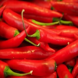 Fresh Chili