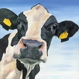 Holstein Cow